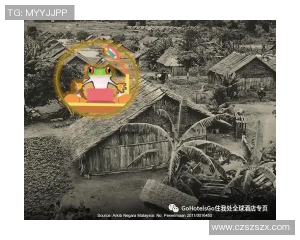 南苏丹与加逢的较量：一场激烈的足球对决与历史交汇